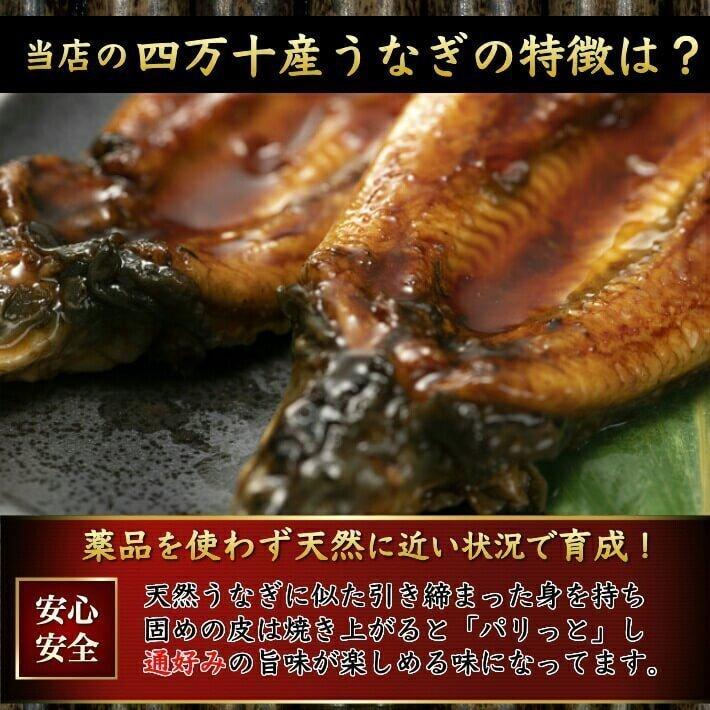 四万十 うなぎ 蒲焼き 国産 4尾 無投薬 四万十川 誕生日 ギフト 高知県産