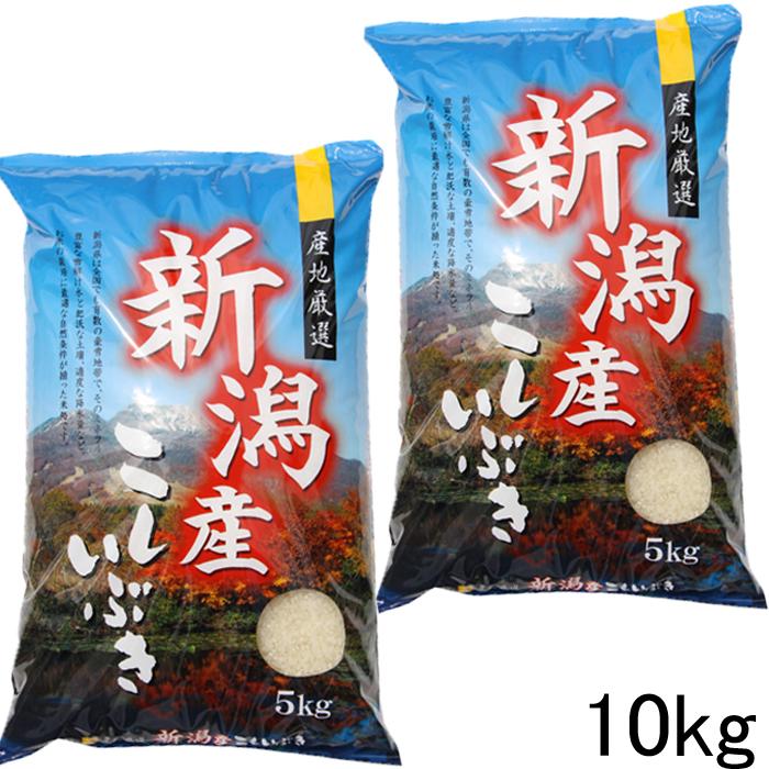 新米 令和5年 新潟産 こしいぶき 白米 10kg 5kg×2袋 農家直送 新潟県産 お米 10kg 安い 白米10kg 安い米 新潟米 農家直送 美味しい米