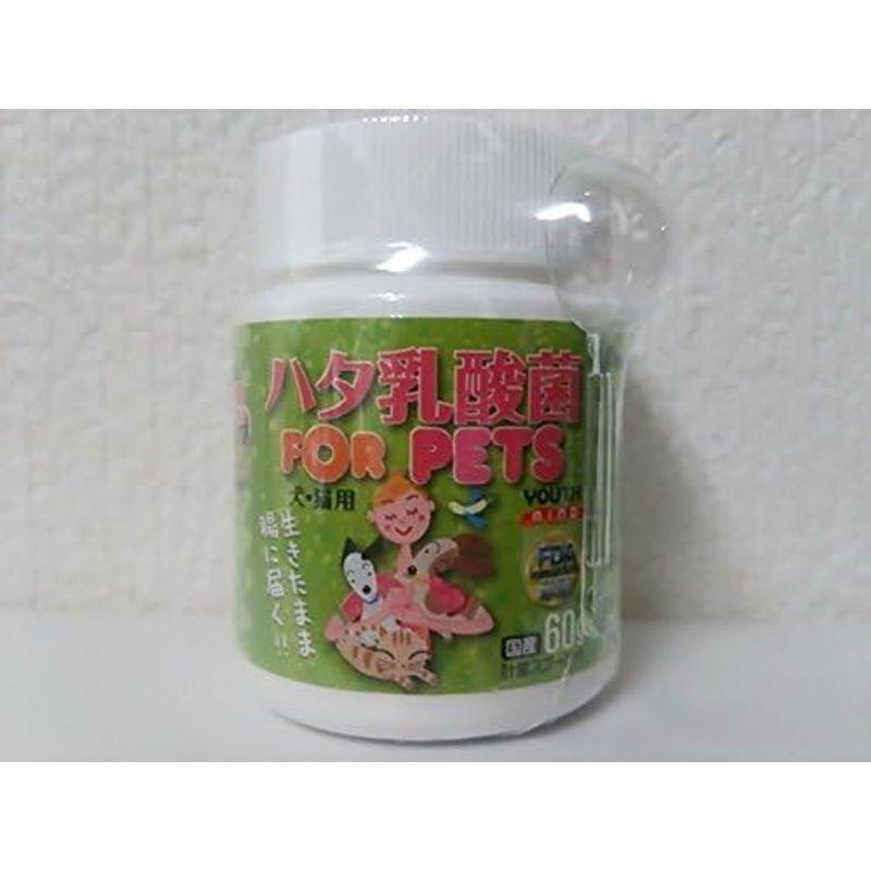 新品未使用 ハタ乳酸菌 FOR PETS 60g ×2個 軽量スプーン付 - その他