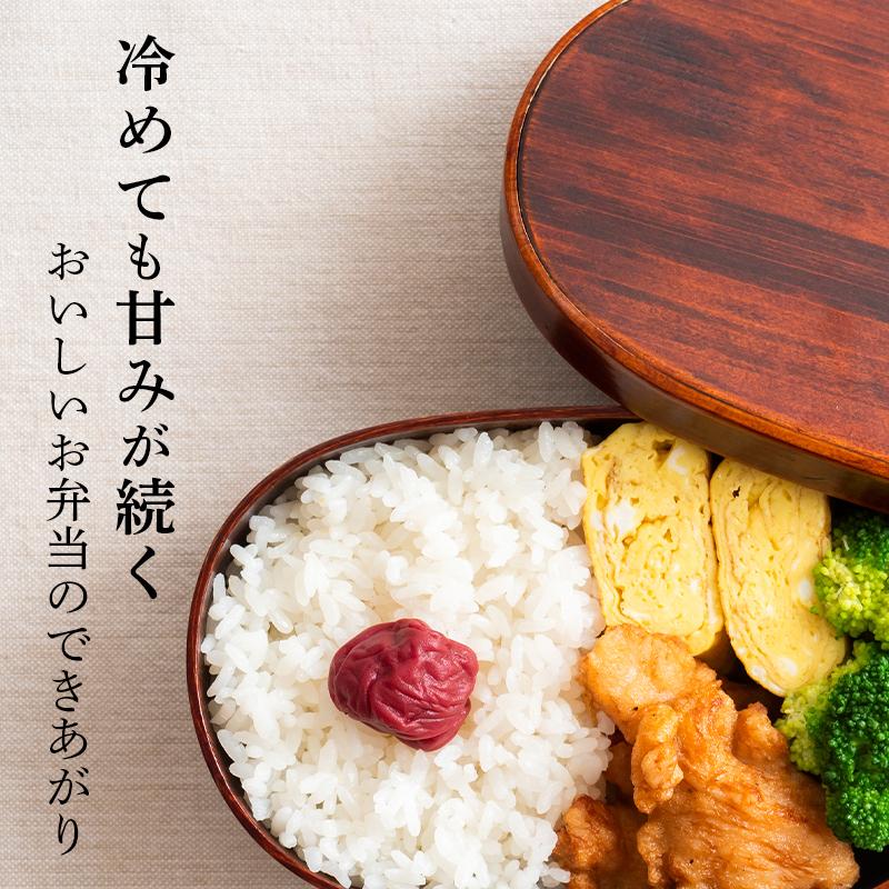 新米 令和5年 米 5Kg 送料無料 コシヒカリ 新潟 あすつく 新潟県産 こしひかり 美味しいお米 5キロ 産直 冷めても美味しい