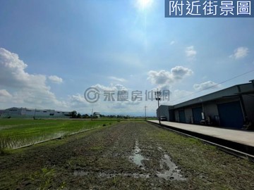 專任｜烏日森林公園旁方正農地｜投資自用皆宜｜台中市烏日區溪南西段