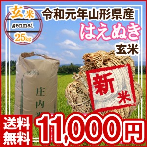 令和5年 山形県産 はえぬき 玄米 25kg(5kg×5)（送料無料）