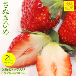 送料無料 地域厳選 いちご イチゴ さぬき姫 さぬきひめ 苺 秀品 特大 大粒 2L 以上 2箱 4パック入り 270g 4パック 秀