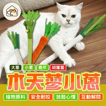 【逗貓神器👍】木天蓼蔥 木天蓼啃咬棒 貓咪啃咬棒 仿真蔥玩具 貓咪磨牙棒 貓磨牙玩具 木天蓼玩具 貓咪玩具 木天蓼