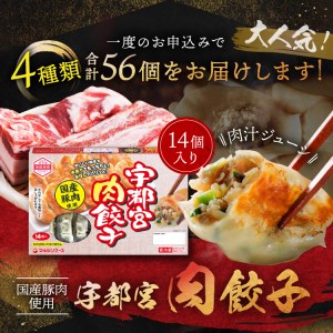 宇都宮餃子 4箱セット(肉2箱 野菜１箱 しそ１箱)