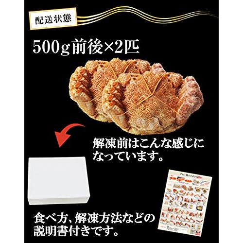 ますよね 毛ガニ ボイル 毛蟹 北海道産 500g前後×2尾 計1kg前後 毛がに かに カニ 蟹