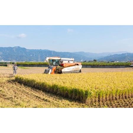 ふるさと納税 P460-10 日永園 ヒノヒカリ 玄米10kg 福岡県うきは市