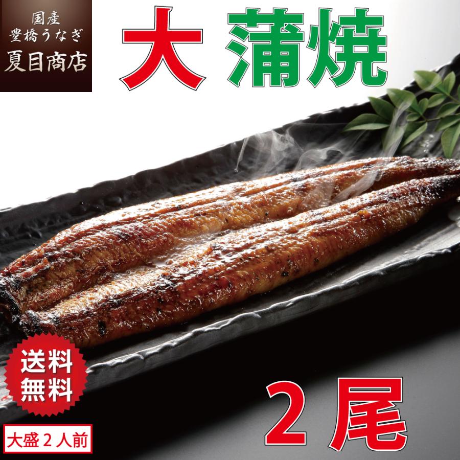 うなぎ 蒲焼き 国産 大155-180g×2尾 （大盛2人前） 送料無料 プレゼント 贈り物 お歳暮 ギフト