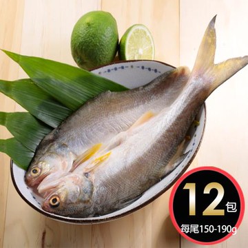 華得水產 日式午仔魚一夜干12尾 (150~190g/尾)