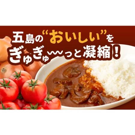 ふるさと納税 こだわりの五島ハヤシ5箱セット 化学調味料・着色料不使用 創作郷土料理いつき 五島産 牛肉 野菜五島市 出口さん.. 長崎県五島市