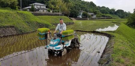 大分県産ひのひかり「ゆふ清流米」10kg