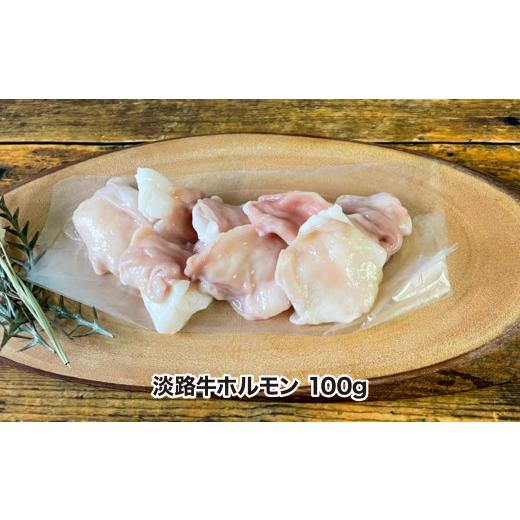 ふるさと納税 兵庫県 南あわじ市 こだわりの生産者が作り上げた最高の淡路牛焼肉、ホルモンセット