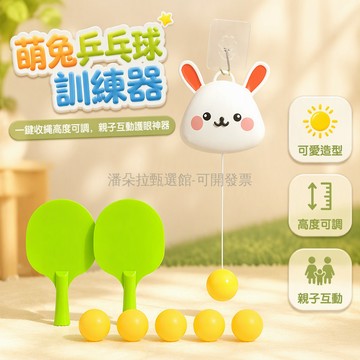 台灣出貨✨ 兒童乒乓球訓練器 自動收線設計 高度可調掛繩 門框牆面懸掛 環保材質雙拍多球 室內親子互動玩具