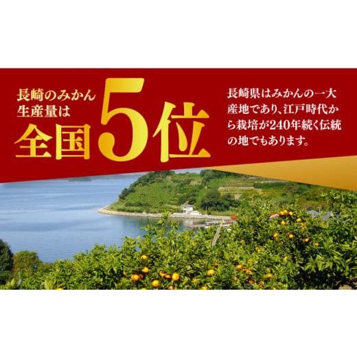 ふるさと納税 長崎県 長与町 みかん 約 10kg（100〜120個）  ／ 長与町 ＜長崎西彼農業協同組合 長与支店＞ [EAH003] 温州みかん みかん10kg 温州…