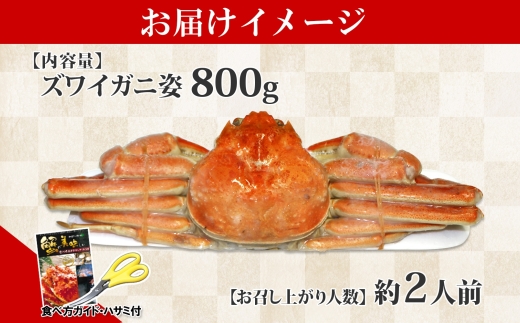 1719.  ボイルズワイガニ姿 800g 食べ方ガイド・専用ハサミ付 カニ 蟹 ずわい ギフト 送料無料 北海道 弟子屈町