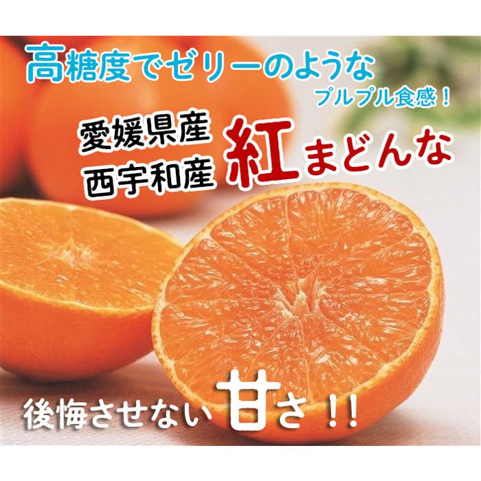 みかん 贈答用 越智今治 紅まどんな 3kg 2Lサイズ 12玉 JAおち今治 赤秀 高糖度 贈り物 ギフト お取り寄せ 果物 フルーツ 送料無料