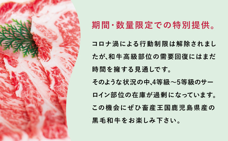 大判！鹿児島県産黒毛和牛サーロインスライス400g 期間・数量限定 訳あり すき焼き 焼肉 ステーキ 肉 和牛 牛肉 ロース サーロイン スライス 黒毛和牛 4等級 5等級 霜降り 400g 冷凍 スターゼン 鹿児島 南さつま市