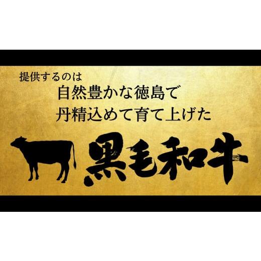 ふるさと納税 徳島県 小松島市 定期便 3回 牛肉 赤身 セット 600g × 3ヵ月 計1.8kg 国産 黒毛和牛 阿波牛 冷凍 お肉 焼肉 BBQ バーベキュー