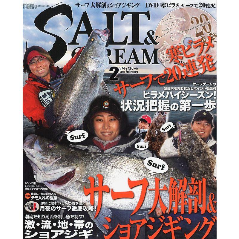 SALT  STREAM (ソルトアンドストリーム) 2011年 02月号 雑誌