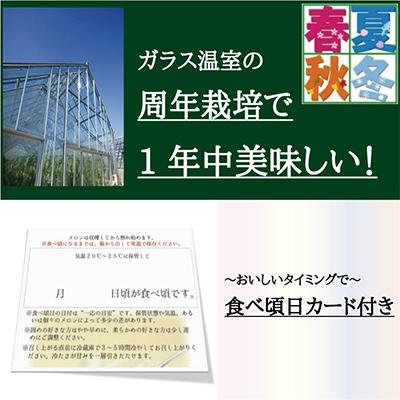 ふるさと納税 袋井市 クラウンメロン規格外大玉1玉・12ヵ月毎月お届け全12回