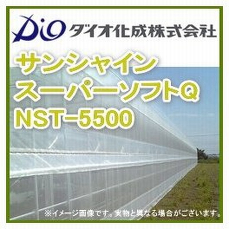 お買得！】 ダイオ化成 （180cm×100m） NST-5500 ダイオサンシャインスーパーソフトQ 防虫ネット - ネット類 -  www.comisariatolosandes.com