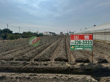 新港164縣道旁美農地｜嘉義縣新港鄉埤頭段共和小段