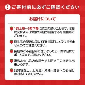 ふるさと納税 福岡県産 博多あまおう １ｋｇ（250ｇ×4パック）_Fi033 福岡県久留米市