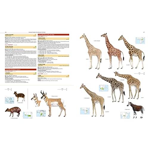 Illustrated Checklist of the Mammals of the World