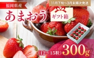 福岡産 あまおう 約300g  (12～15粒) 1箱 いちご 苺 果物 フルーツ 九州産 福岡県産 冷蔵 ギフト箱 箱入り ギフト 贈り物 送料無料