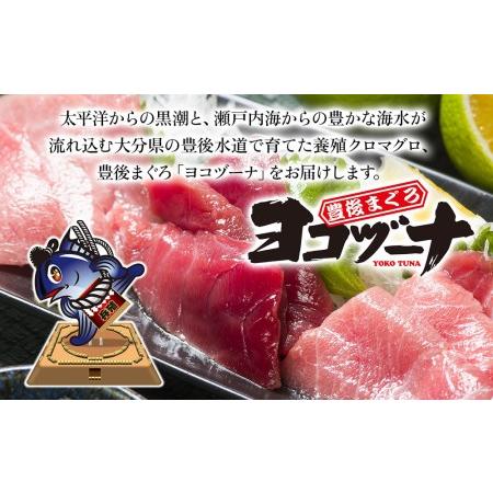 ふるさと納税 豊後まぐろヨコヅーナ贅沢セット全5回 赤身250g 中トロ500g 大トロ250g入りの豪華セット 大分県産 九州産 津久見市.. 大分県津久見市