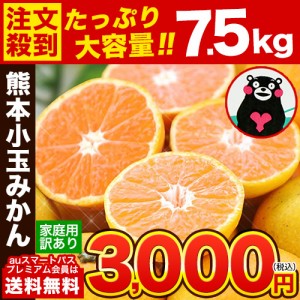  みかん 訳あり 小玉 7.5kg 柑橘 家庭用 小玉みかん 《12月上旬-12月下旬頃に発送予定》