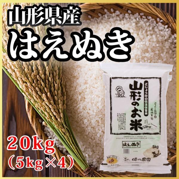 山形県産 はえぬき 20kg（5kg×4）（10-H3）