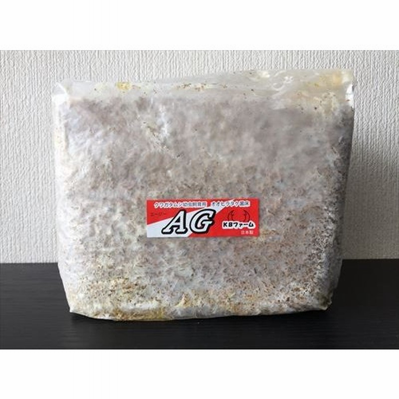 菌床ブロック AG 3500ｃｃ×10個 KBファーム製 オオヒラタケ AGブロック 【予約販売 1週間前後】 通販  LINEポイント最大0.5%GET | LINEショッピング