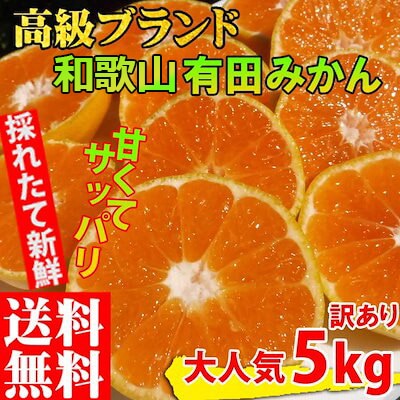 みかん 訳あり 5kg 和歌山 ありだみかん 温州みかん 有田みかん