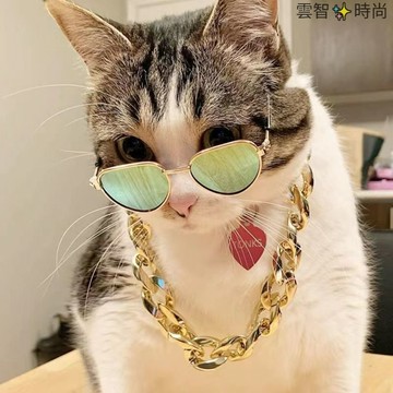 寵物貓眼鏡拍照裝扮耍酷 搞怪猫咪狗狗墨鏡泰迪小型犬個性貓咪眼鏡 寵物太陽眼鏡 狗狗太陽眼鏡 寵物用品 拍照用品 寵物飾品