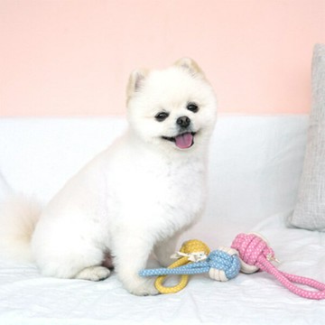 韓國【ParisDog】球球純棉繩結玩具 (顏色隨機出貨) 寵物玩具