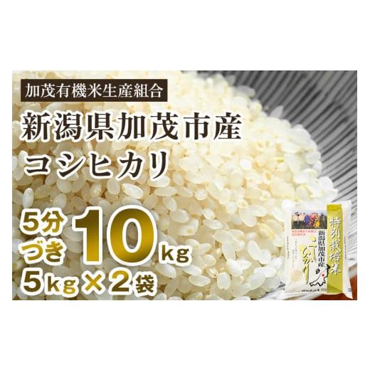 ふるさと納税 新潟県 加茂市 新潟県加茂市産 特別栽培米コシヒカリ 精米 10kg（5kg×2） 従来品種コシヒカリ 加茂有機米生産組合