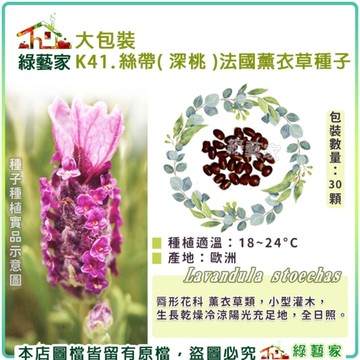 【綠藝家】大包裝K41.絲帶( 深桃 )法國薰衣草種子30顆(產地歐洲)18~24°C 全日照 香草類大包裝