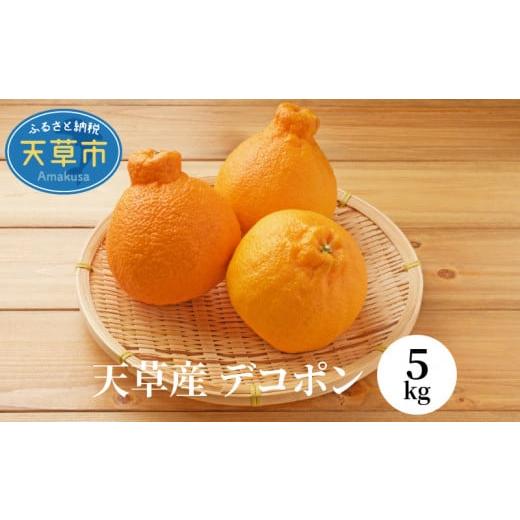 ふるさと納税 熊本県 天草市 S053-003_天草産 デコポン 5kg〈先行予約〉