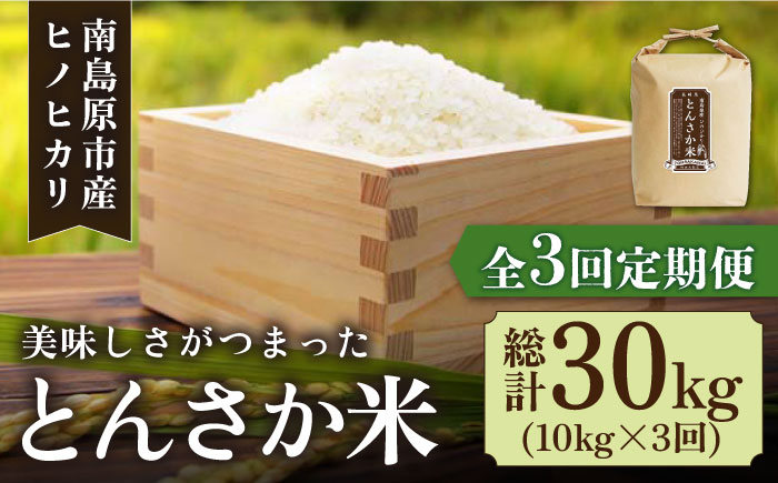 南島原市産ヒノヒカリ】とんさか米 10kg×3回 定期便   米 令和5年産 ヒノヒカリ   南島原市   林田米穀店 [SCO006]