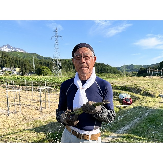 やまたけ農園の春アスパラガス！約1.5kg（S～2L不揃い）青森県鰺ヶ沢町産