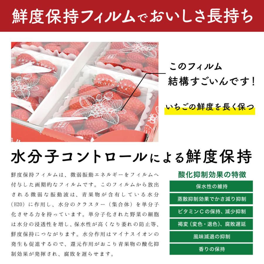 いちご イチゴ 苺 果物 ギフト 旬 フルーツ 品種指定なし プレミアムパック 3Lサイズ×4パック