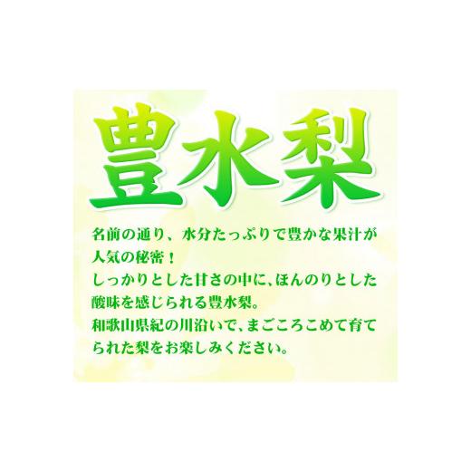 ふるさと納税 和歌山県 紀の川市 和歌山県紀の川市産 の豊水梨 約4kg （約9玉〜13玉）紀の川市厳選館 《2024年8月中旬-9月上旬…