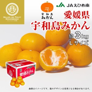 [予約 2024年1月1日必着] 宇和島みかん Lサイズ 約3kg 愛媛県 産地箱 レギュラー 産地箱 お正月必着指定 お年賀 御年賀 冬ギフト