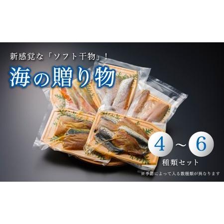 ふるさと納税 海の贈り物 干物 盛り合わせ 季節の干物 数種類 ４〜６種類 京都府