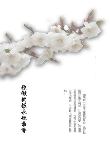【電子書】你做的饭永远最香