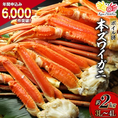 ボイル済み 本ずわいがに 脚 3L～4L 総重量2kg [20562924]