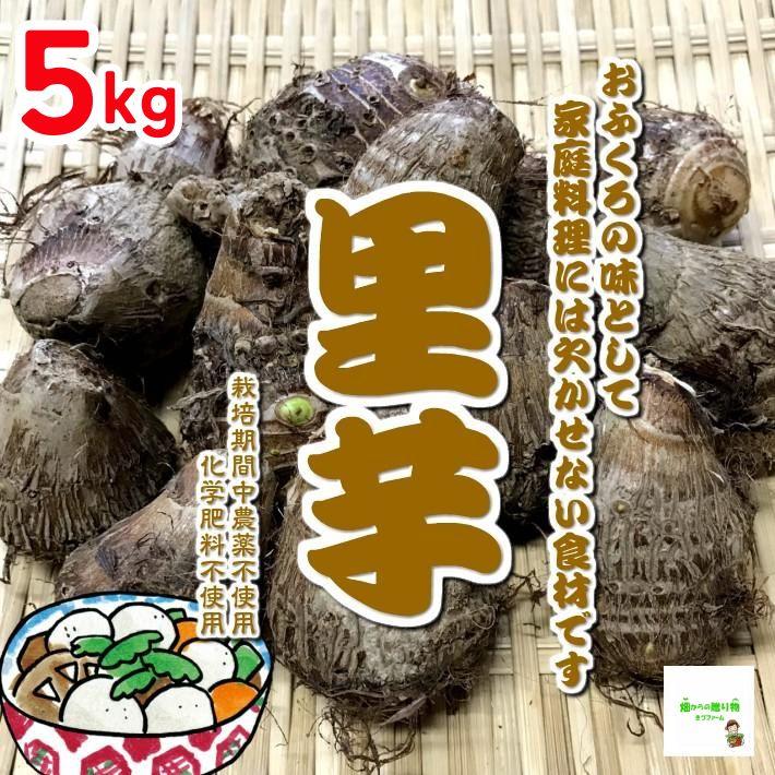 里芋　栽培期間中農薬不使用・化学肥料不使用　埼玉県産　１袋約５kg（Mサイズ）