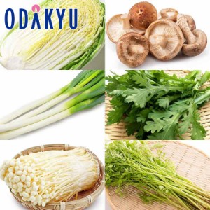 鍋 野菜 詰め合わせ セット 送料無料  お鍋のヒーロー！定番鍋野菜セット※沖縄・離島届不可