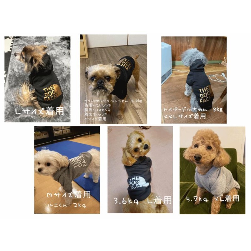 パーカー 犬服 THE DOG FACE ドッグフェイス ペットウェア 秋冬